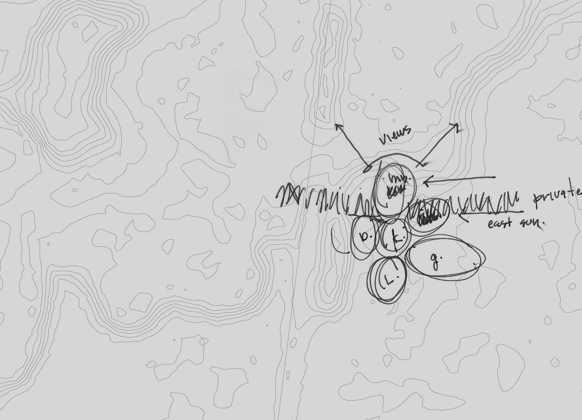 pigeon-program copy2