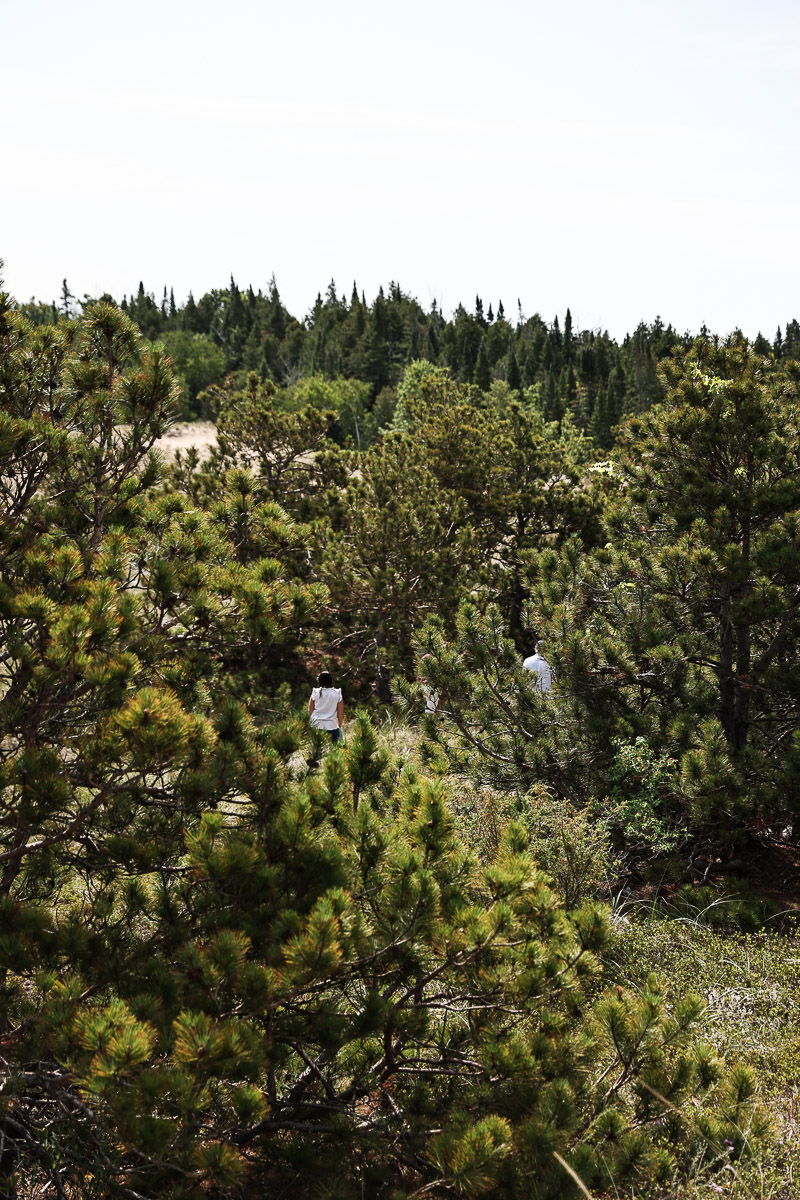 Lucid-Architecture-Hidden-Lakes-0278